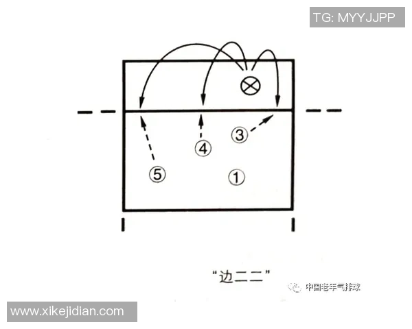 南京排球队防反体系解析与战术创新研究
