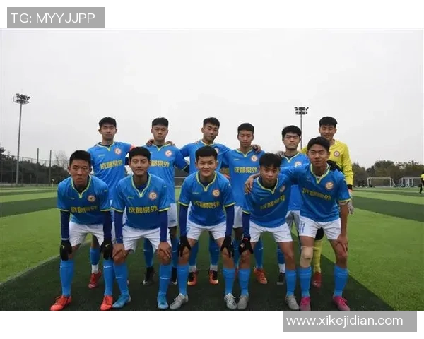 成都排球队在钻石联赛中的崛起与突破之路全景回顾