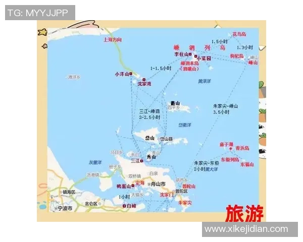 广州飞盘队的成功运营模式与发展策略深度解析