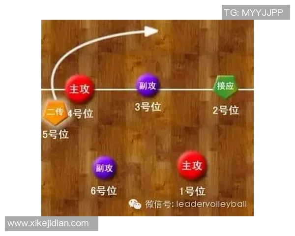杭州排球队进攻战术解析与球员表现全面分析